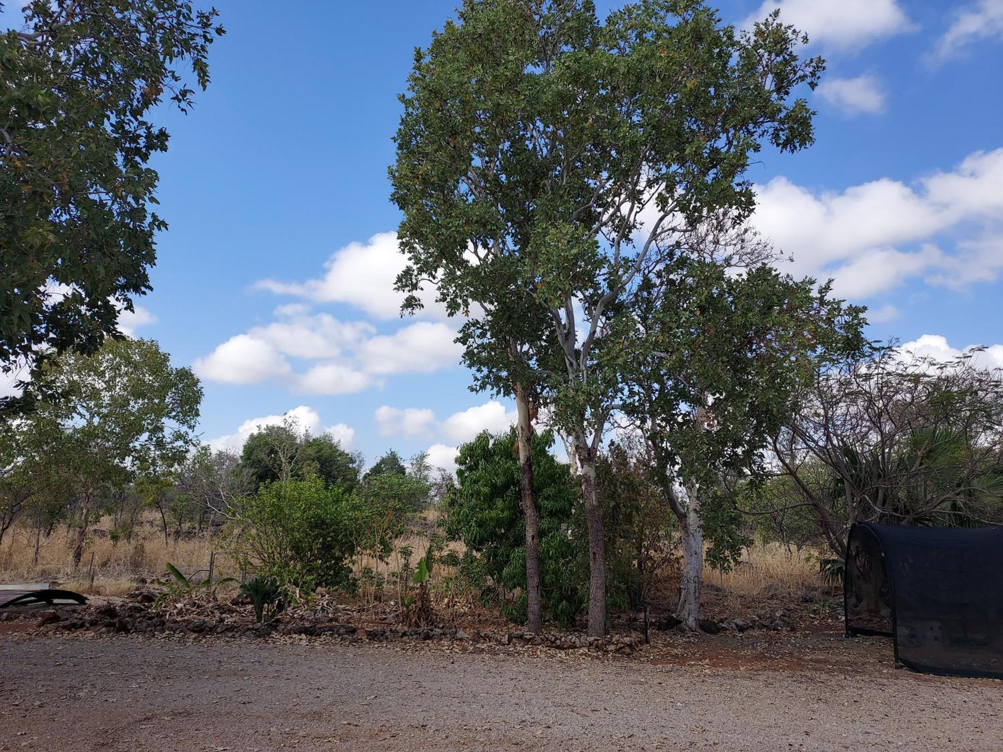 קתרין Almost Off Grid Tranquillity חדר תמונה